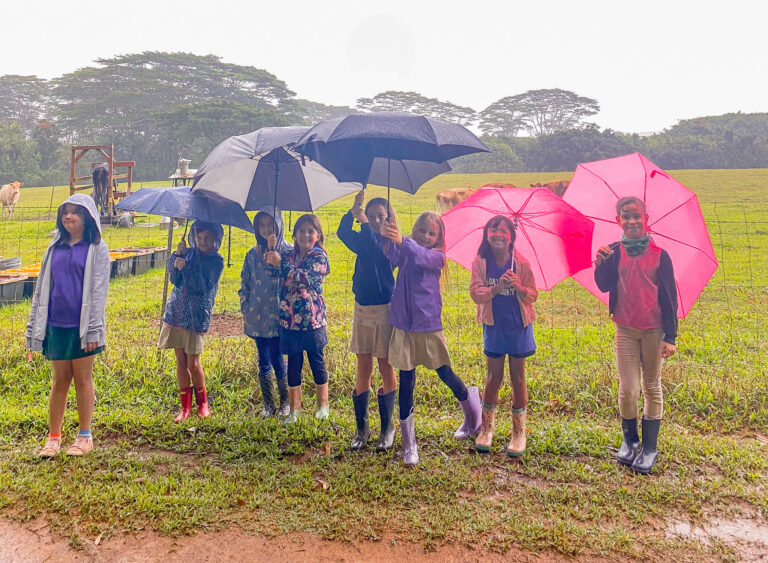 Girls Posing with Umbrellas in the Pastures