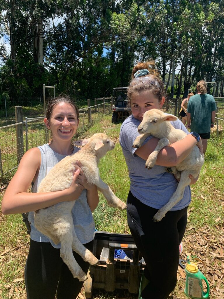 Intern Girls with Lambs