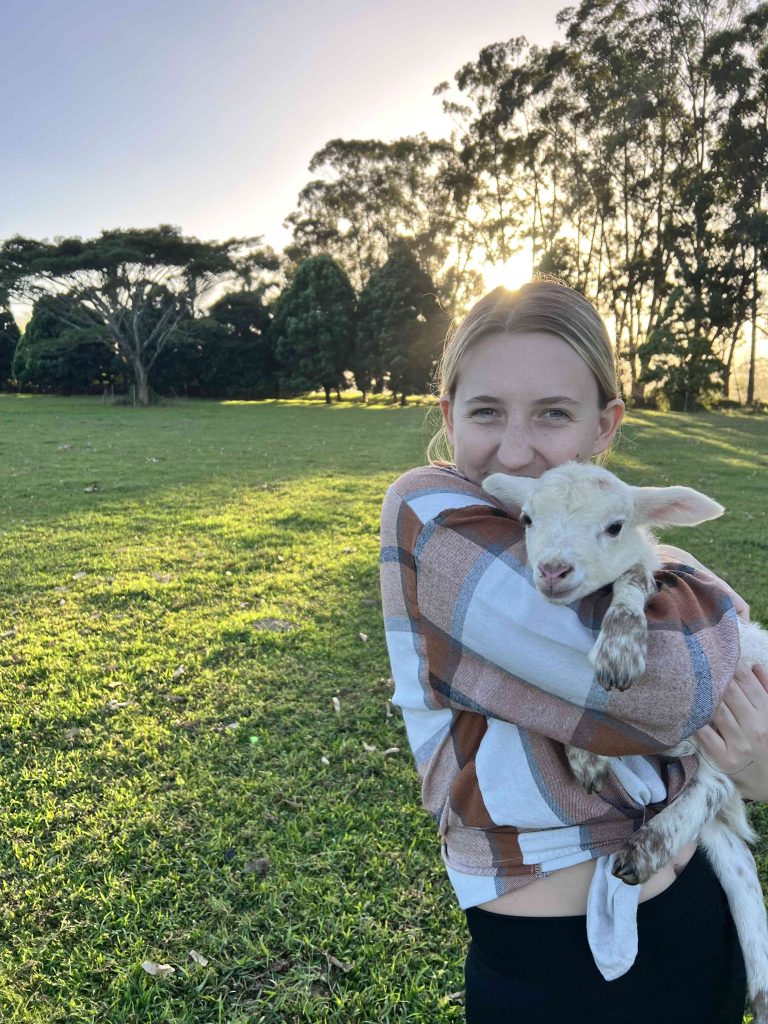 intern girl with sheep