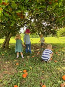 Kids in the Citrus Field